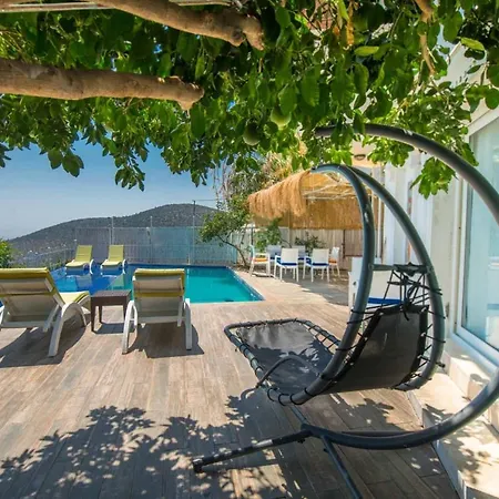 Dunya * Kalkan